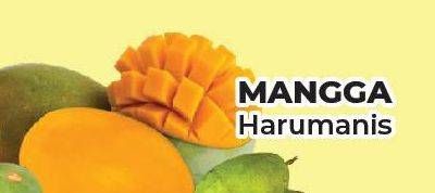 Promo Harga Mangga Harum Manis per 100 gr - Yogya