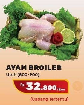 Promo Harga Ayam Broiler  - Yogya