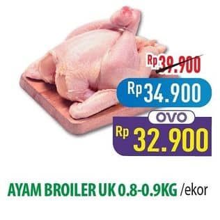 Promo Harga Ayam Broiler 800 gr - Hypermart