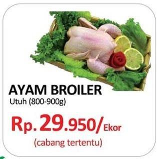 Promo Harga Ayam Broiler  - Yogya