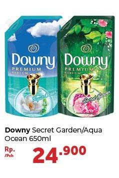 Promo Harga DOWNY Premium Parfum Secret Garden, Aqua Ocean 650 ml - Carrefour