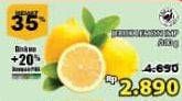 Promo Harga Lemon Import per 100 gr - Giant