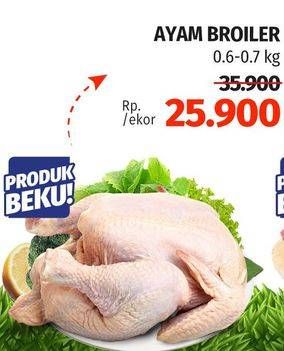 Promo Harga Ayam Broiler 600 gr - Lotte Grosir