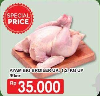 Promo Harga Ayam Broiler  - Hypermart