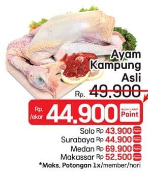 Promo Harga Ayam Kampung 500 gr - LotteMart