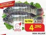 Promo Harga Ikan Mujair per 100 gr - Superindo