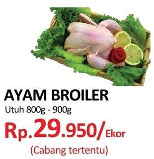 Promo Harga Ayam Broiler Utuh  - Yogya