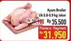 Promo Harga Ayam Broiler 800 gr - Hypermart