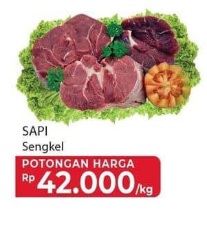 Promo Harga Daging Sengkel (Shankle)  - Yogya