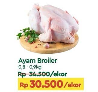 Promo Harga Ayam Broiler 800 gr - TIP TOP