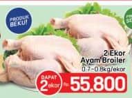 Promo Harga Ayam Broiler 700 gr - LotteMart