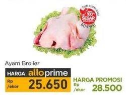 Promo Harga Ayam Broiler 800 gr - Carrefour