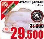 Promo Harga Ayam Pejantan  - Giant