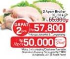 Ayam Broiler