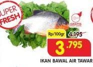 Promo Harga Ikan Bawal Tawar per 100 gr - Superindo