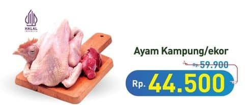 Promo Harga Ayam Kampung 500 gr - Hypermart