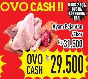 Promo Harga Ayam Pejantan  - Hypermart