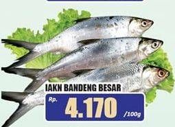 Promo Harga Ikan Bandeng Besar per 100 gr - Hari Hari