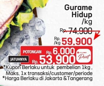 Promo Harga Ikan Gurame Hidup  - LotteMart