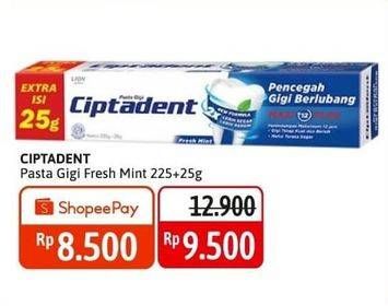 Promo Harga Ciptadent Pasta Gigi Maxi 12 Plus Fresh Mint 250 gr - Alfamidi