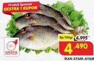 Promo Harga Ikan Ayam-Ayam per 100 gr - Superindo