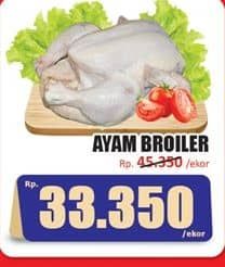 Promo Harga Ayam Broiler 500 gr - Hari Hari