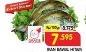 Promo Harga Ikan Bawal Hitam per 100 gr - Superindo