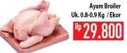 Promo Harga Ayam Broiler  - Hypermart