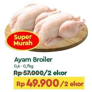 Promo Harga Ayam Broiler 600 gr - TIP TOP