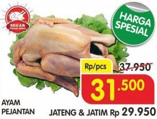 Promo Harga Ayam Pejantan  - Superindo