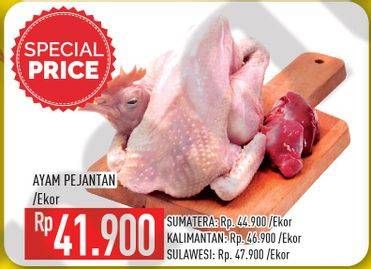 Promo Harga Ayam Pejantan  - Hypermart