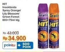 Promo Harga HIT Aerosol Orange, Lilly Blossom, Green Forest 675 ml - Indomaret