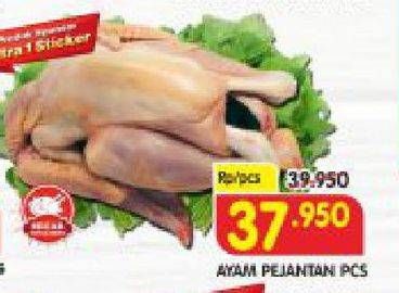 Promo Harga Ayam Pejantan  - Superindo