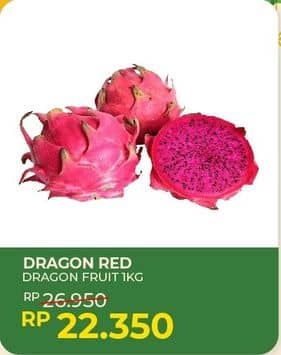 Promo Harga Buah Naga Merah  - Yogya