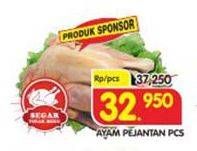 Promo Harga Ayam Pejantan  - Superindo