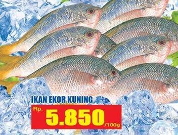 Promo Harga Ikan Ekor Kuning per 100 gr - Hari Hari