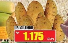 Promo Harga Ubi Cilembu per 100 gr - Hari Hari