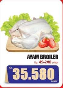 Promo Harga Ayam Broiler 600 gr - Hari Hari
