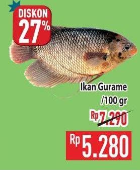 Promo Harga Ikan Gurame per 100 gr - Hypermart