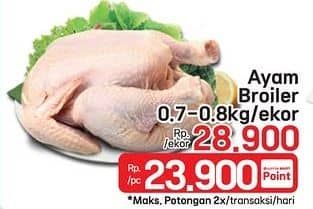 Promo Harga Ayam Broiler 700 gr - LotteMart