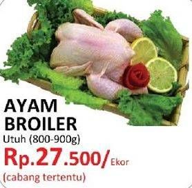 Promo Harga Ayam Broiler  - Yogya