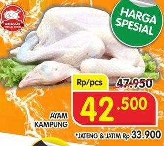 Promo Harga Ayam Kampung  - Superindo