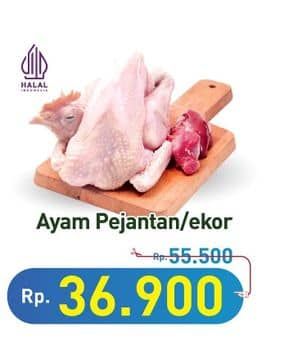 Promo Harga Ayam Pejantan 500 gr - Hypermart