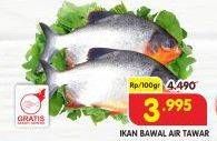 Promo Harga Ikan Bawal Tawar per 100 gr - Superindo