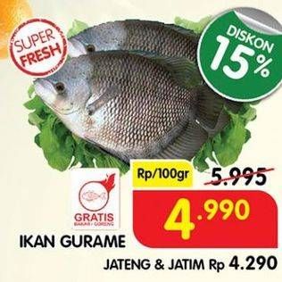 Promo Harga Ikan Gurame per 100 gr - Superindo