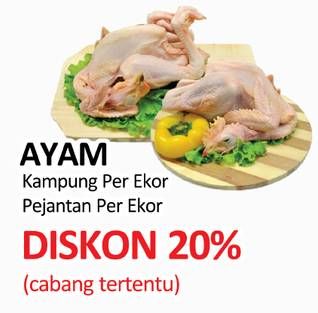 Promo Harga Ayam Kampung / Pejantan Per Ekor  - Yogya