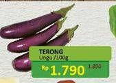 Promo Harga Terong Ungu per 100 gr - Alfamidi