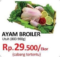 Promo Harga Ayam Broiler  - Yogya