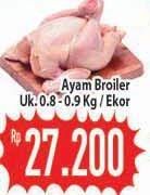 Promo Harga Ayam Broiler  - Hypermart