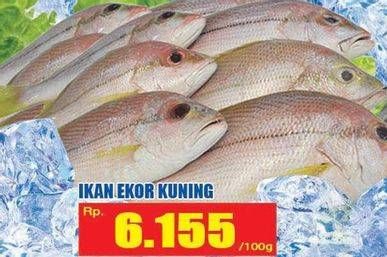 Promo Harga Ikan Ekor Kuning per 100 gr - Hari Hari